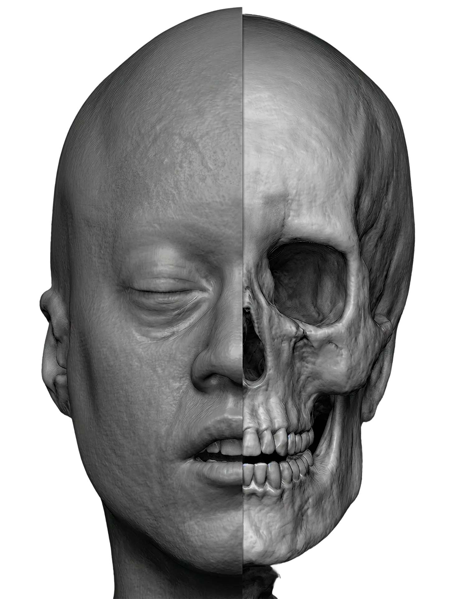Josh face and skull visualization